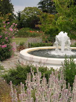 Choosing a Backyard Fountain