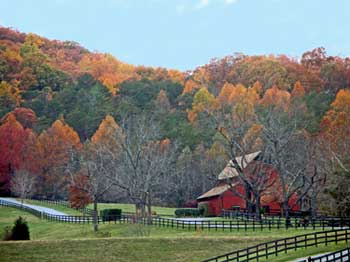 Choosing a Front Yard Fence Style