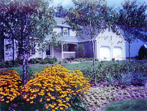 Creative Front Yard Landscaping ideas